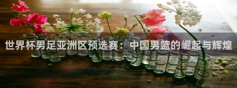世界杯男足亚洲区预选赛：中国男篮的崛起与辉煌