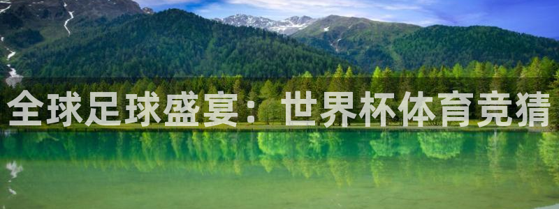 全球足球盛宴：世界杯体育竞猜