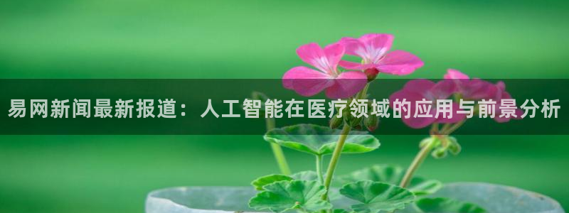 易网新闻最新报道：人工智能在医疗领域的应用与前景分析