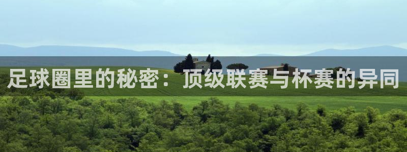 足球圈里的秘密：顶级联赛与杯赛的异同