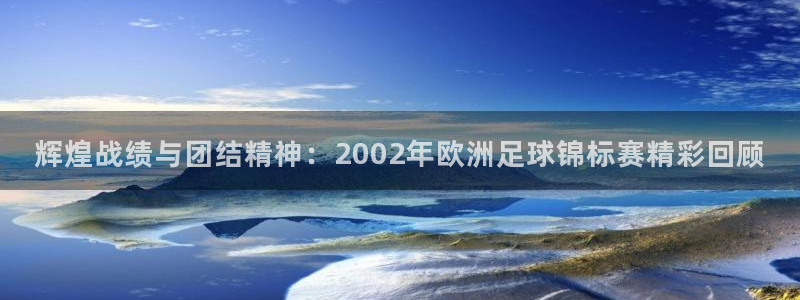 辉煌战绩与团结精神：2002年欧洲足球锦标赛精彩回顾