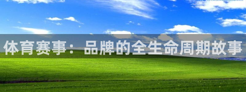 体育赛事：品牌的全生命周期故事