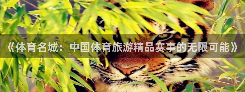 《体育名城：中国体育旅游精品赛事的无限可能》