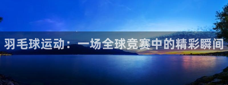 羽毛球运动：一场全球竞赛中的精彩瞬间
