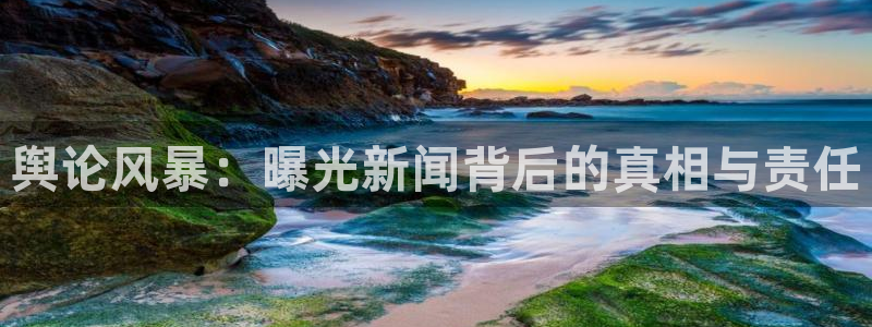 舆论风暴：曝光新闻背后的真相与责任