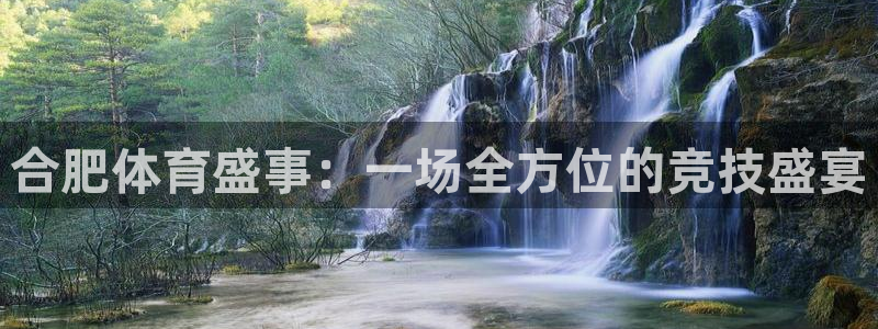 合肥体育盛事：一场全方位的竞技盛宴
