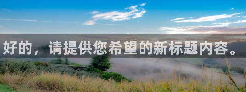 好的，请提供您希望的新标题内容。