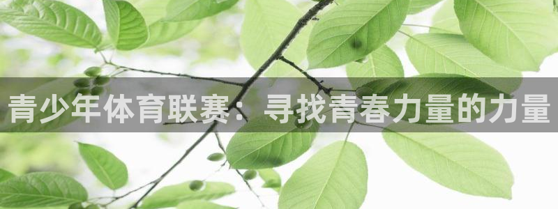 青少年体育联赛：寻找青春力量的力量