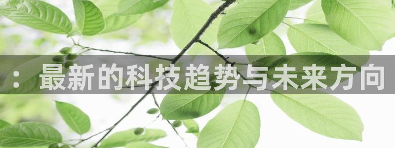 ：最新的科技趋势与未来方向