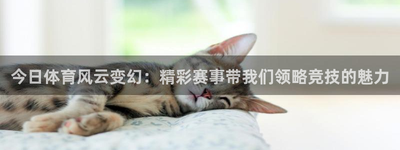 今日体育风云变幻：精彩赛事带我们领略竞技的魅力